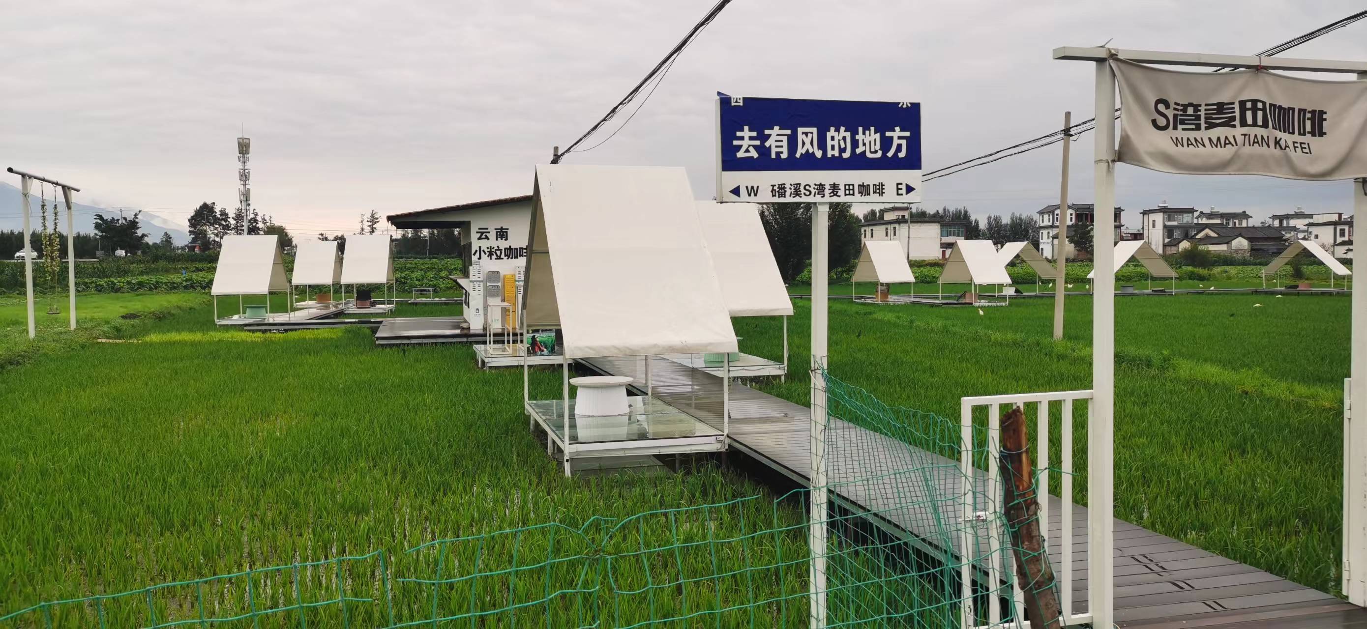 自助打卡