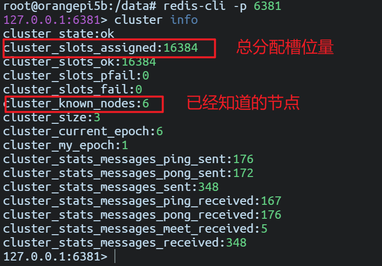 cluster info 命令