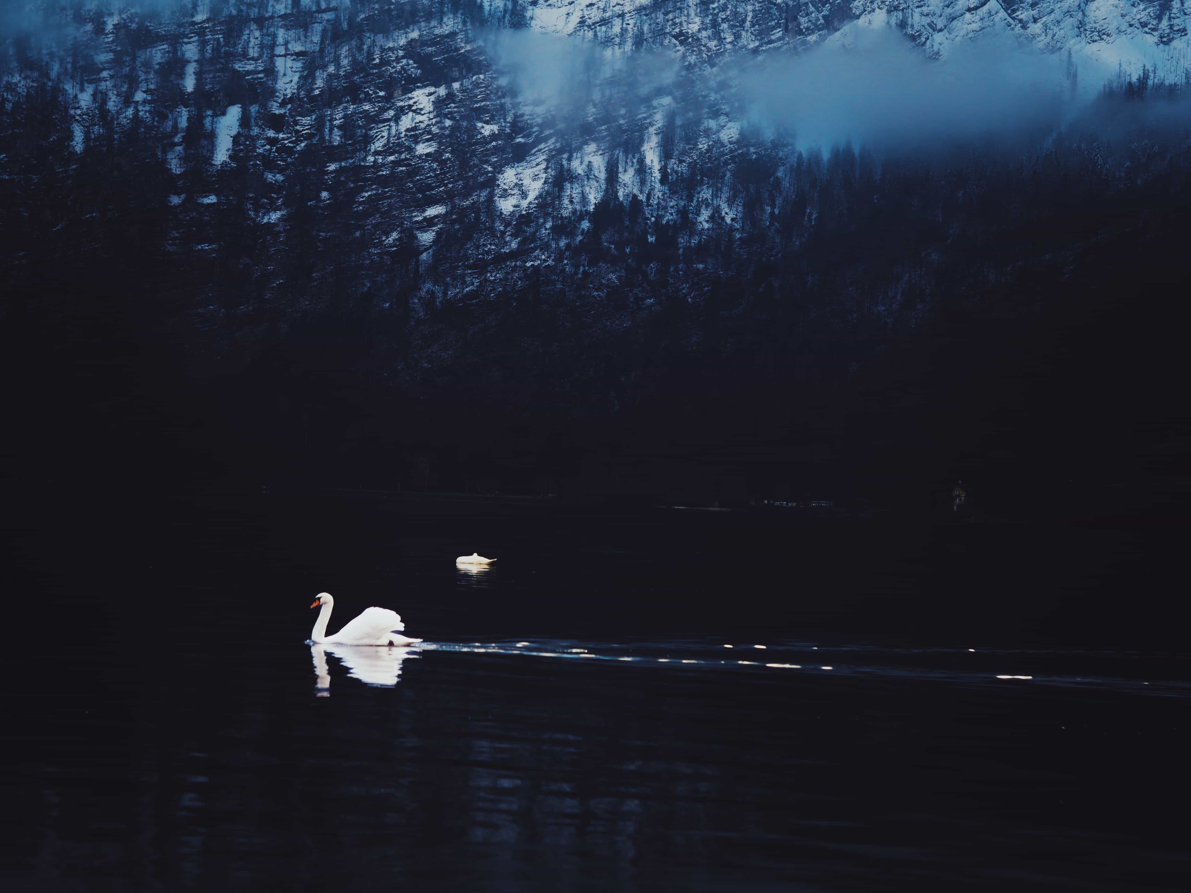 React-01-开发环境及JSX